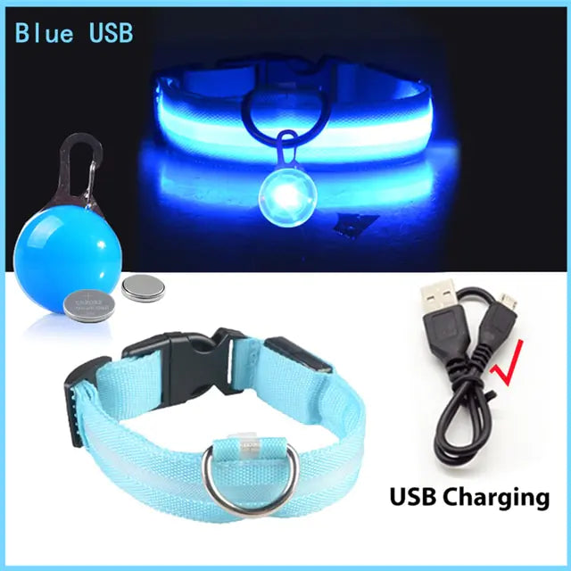 USB Charging Glowing Dog Collar - VMX PETS - VMX PETS