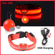 USB Charging Glowing Dog Collar - VMX PETS - VMX PETS