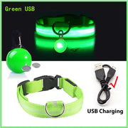 USB Charging Glowing Dog Collar - VMX PETS - VMX PETS