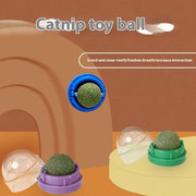 Catnip Ball Cat Toy - VMX PETS - VMX PETS