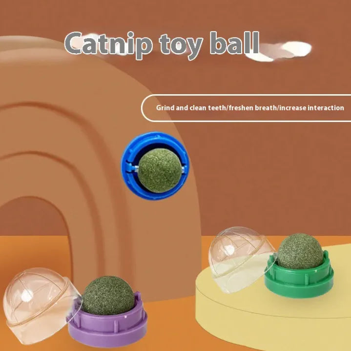 Catnip Ball Cat Toy - VMX PETS - VMX PETS