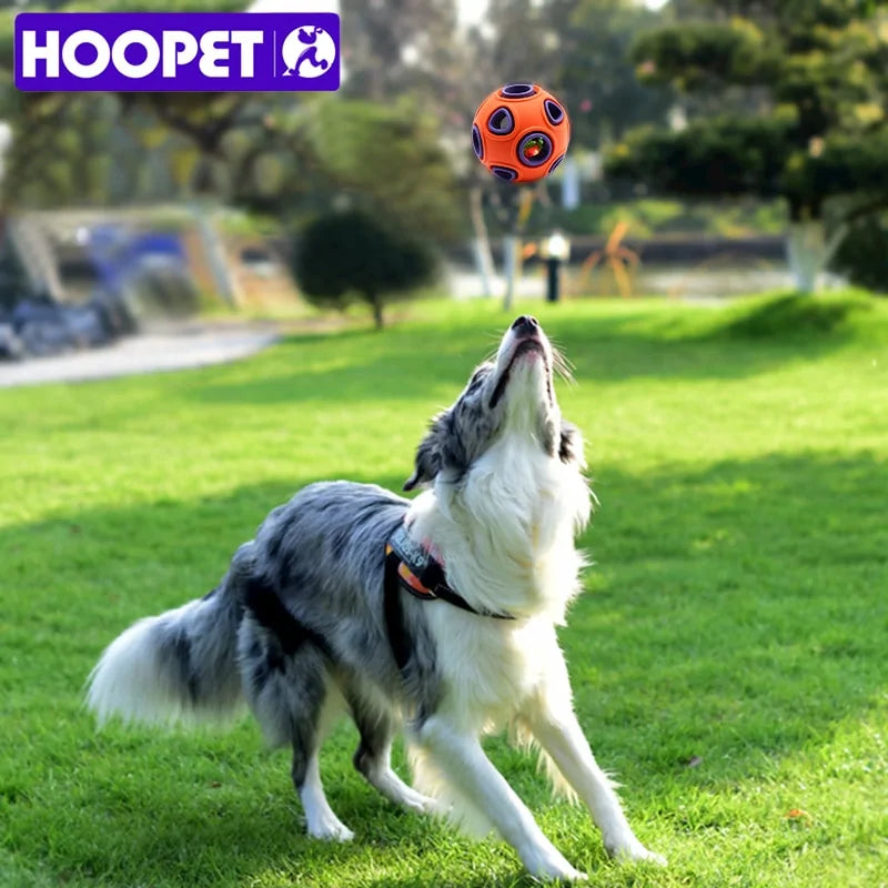 HOOPET Interactive Ball Chew Toy For Dog - VMX PETS - VMX PETS