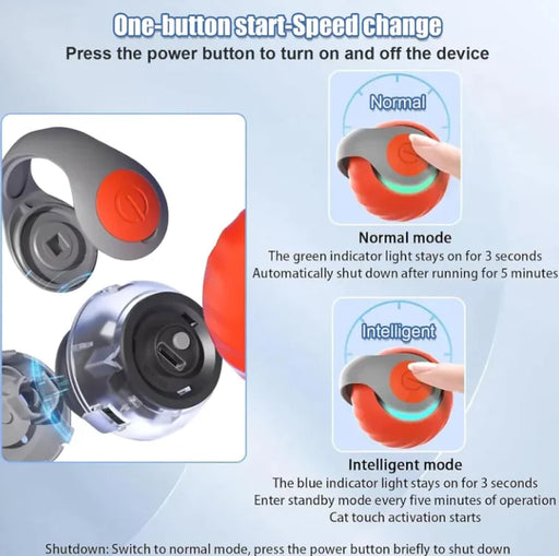 Pet Ball Toy - VMX PETS - VMX PETS