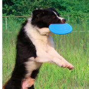 Soft Non-Slip Dog Flying Disc - VMX PETS - VMX PETS