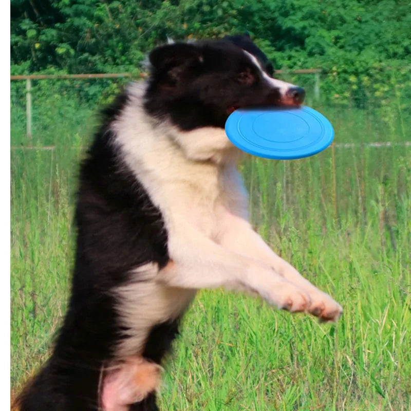 Soft Non-Slip Dog Flying Disc - VMX PETS - VMX PETS