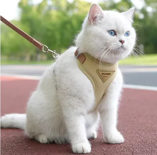 Small Pet Anti-Breaking Harness & Leash - VMX PETS - VMX PETS