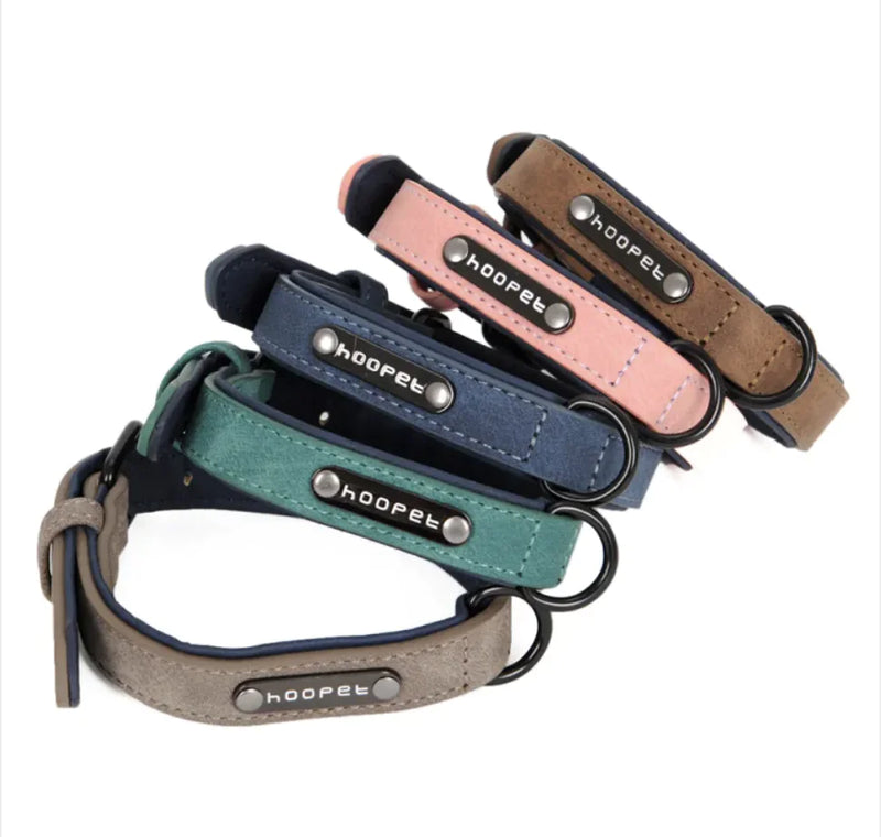 Adjustable Dog Collar & Leash Set - VMX PETS - VMX PETS