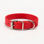 Paws & Whiskers Collar - VMX PETS - VMX PETS