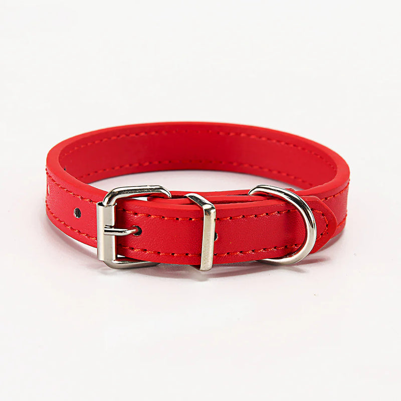 Paws & Whiskers Collar - VMX PETS - VMX PETS
