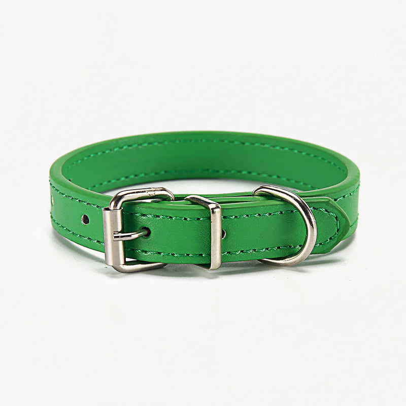 Paws & Whiskers Collar - VMX PETS - VMX PETS