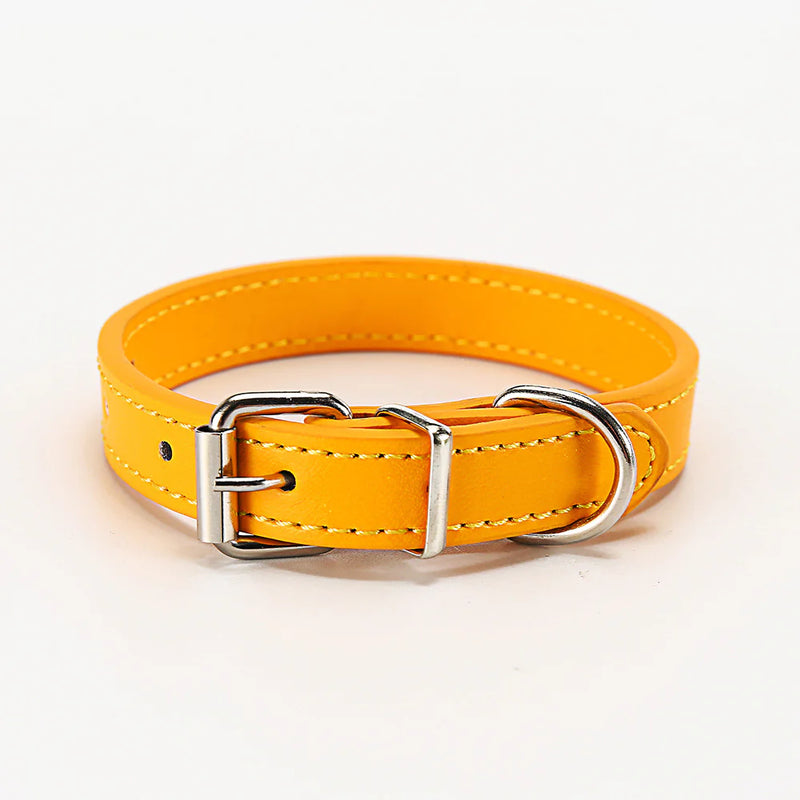 Paws & Whiskers Collar - VMX PETS - VMX PETS