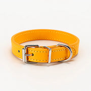 Paws & Whiskers Collar - VMX PETS - VMX PETS