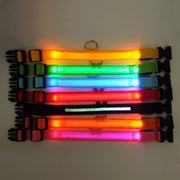 LED Pet Dog Collar for Night Safety, Nylon Leash with Glow-in-the-Dark Feature - VMX PETS - VMX PETS