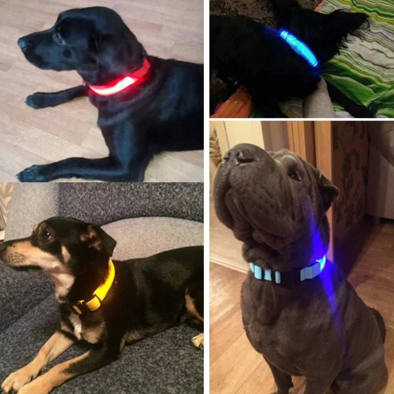LED Pet Dog Collar for Night Safety, Nylon Leash with Glow-in-the-Dark Feature - VMX PETS - VMX PETS
