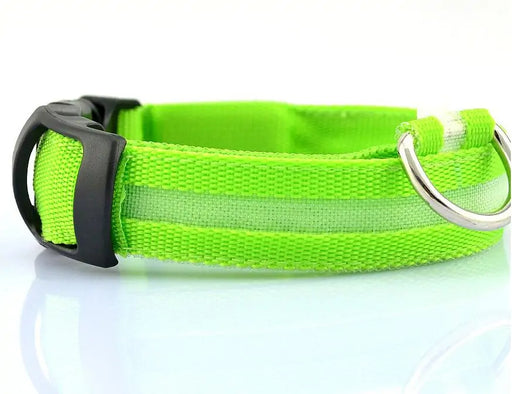 LED Pet Dog Collar for Night Safety, Nylon Leash with Glow-in-the-Dark Feature - VMX PETS - VMX PETS