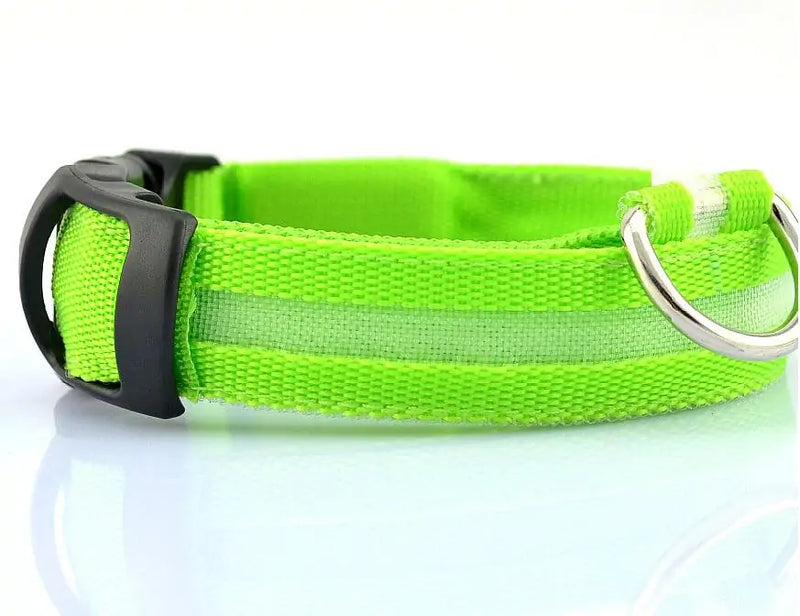 LED Pet Dog Collar for Night Safety, Nylon Leash with Glow-in-the-Dark Feature - VMX PETS - VMX PETS
