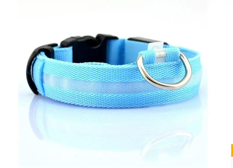 LED Pet Dog Collar for Night Safety, Nylon Leash with Glow-in-the-Dark Feature - VMX PETS - VMX PETS