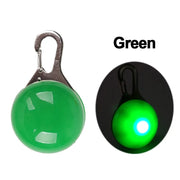 LED Pet Dog Collar for Night Safety, Nylon Leash with Glow-in-the-Dark Feature - VMX PETS - VMX PETS
