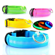 LED Pet Dog Collar for Night Safety, Nylon Leash with Glow-in-the-Dark Feature - VMX PETS - VMX PETS