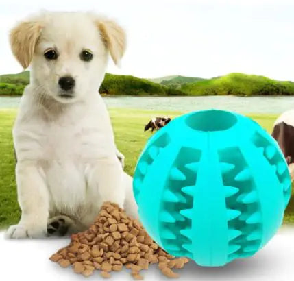 Interactive Dog Toy Ball - VMX PETS - VMX PETS
