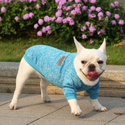 Classic Warm Dog Sweater - VMX PETS - VMX PETS