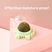 Healthy Cat Catnip Toys Snack - VMX PETS - VMX PETS