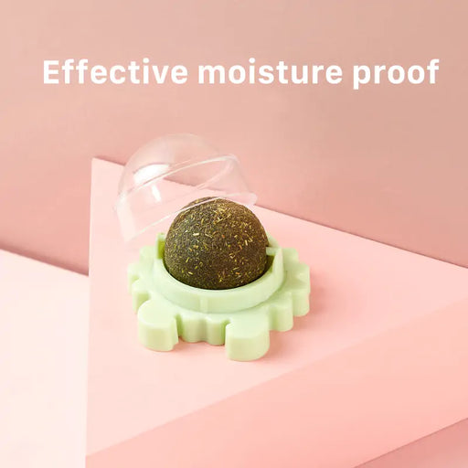 Healthy Cat Catnip Toys Snack - VMX PETS - VMX PETS