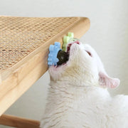Healthy Cat Catnip Toys Snack - VMX PETS - VMX PETS