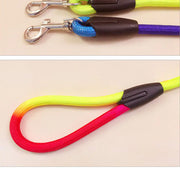 Colorful Nylon Round Hand Holding Dog Rope Pets Supplies - VMX PETS - VMX PETS