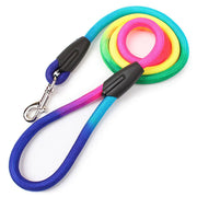 Colorful Nylon Round Hand Holding Dog Rope Pets Supplies - VMX PETS - VMX PETS