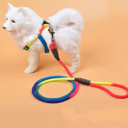 Colorful Nylon Round Hand Holding Dog Rope Pets Supplies - VMX PETS - VMX PETS