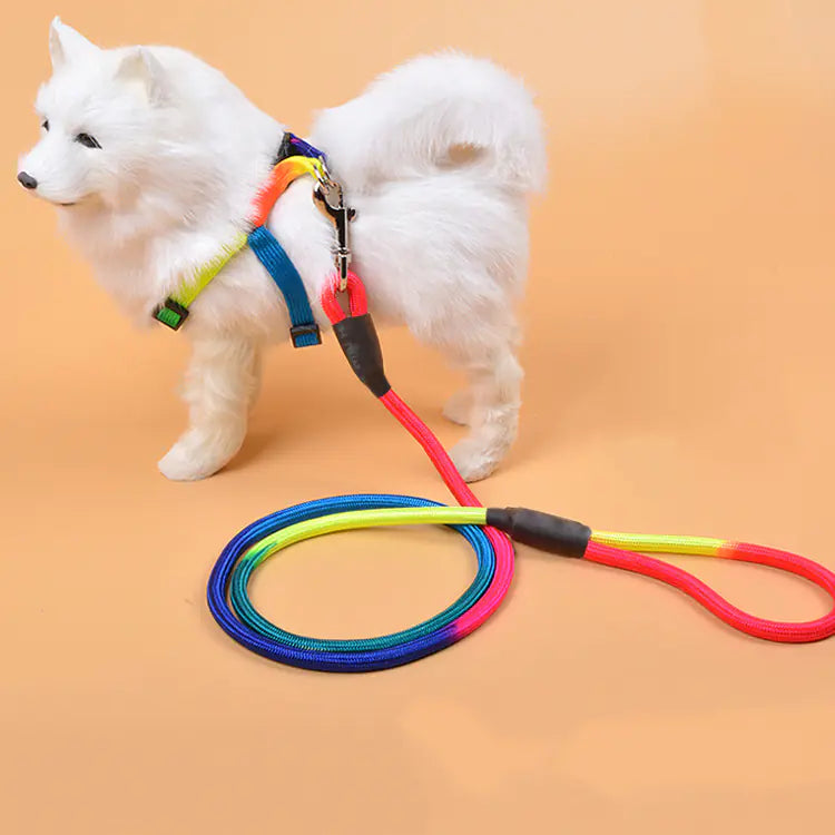 Colorful Nylon Round Hand Holding Dog Rope Pets Supplies - VMX PETS - VMX PETS