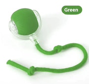 Super Rolling Cat Toy Ball - VMX PETS - VMX PETS