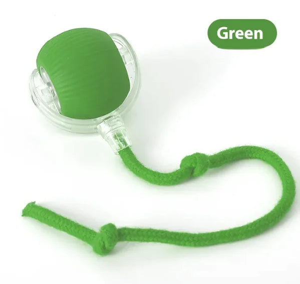 Super Rolling Cat Toy Ball - VMX PETS - VMX PETS