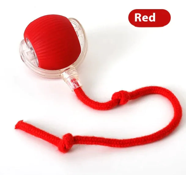 Super Rolling Cat Toy Ball - VMX PETS - VMX PETS