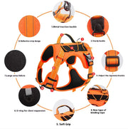 Pet Harness Cat Dog - VMX PETS - VMX PETS