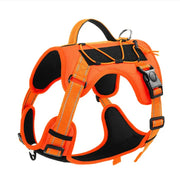 Pet Harness Cat Dog - VMX PETS - VMX PETS