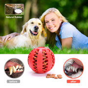 Interactive Rubber Pet Dog Toy - VMX PETS - VMX PETS