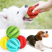 Interactive Rubber Pet Dog Toy - VMX PETS - VMX PETS