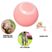 Rolling Ball Electric Cat Toys - VMX PETS - VMX PETS