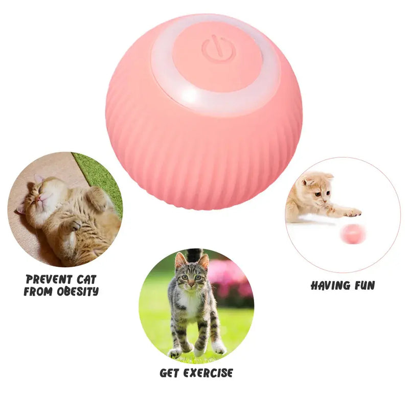 Rolling Ball Electric Cat Toys - VMX PETS - VMX PETS