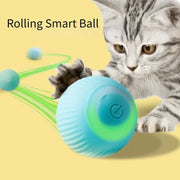 Rolling Ball Electric Cat Toys - VMX PETS - VMX PETS
