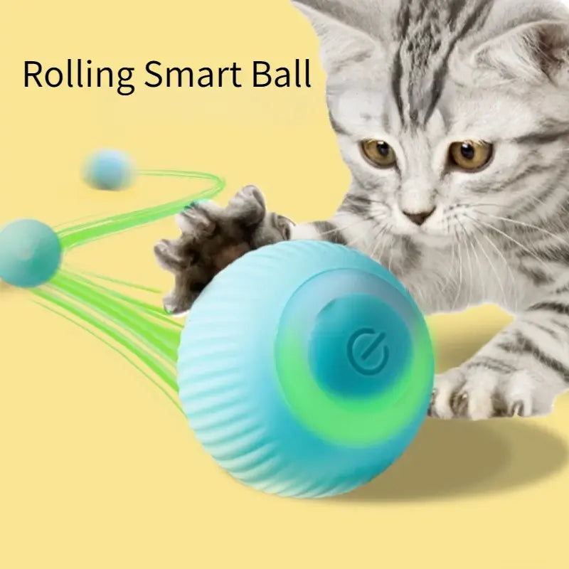 Rolling Ball Electric Cat Toys - VMX PETS - VMX PETS