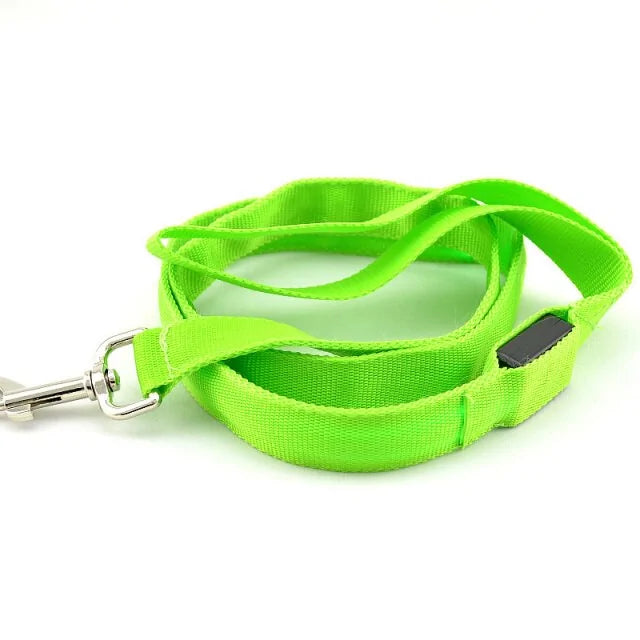 Reflective LED Dog Leash - VMX PETS - VMX PETS