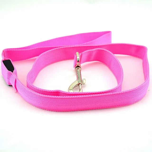 Reflective LED Dog Leash - VMX PETS - VMX PETS