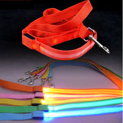 Reflective LED Dog Leash - VMX PETS - VMX PETS