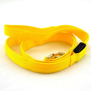 Reflective LED Dog Leash - VMX PETS - VMX PETS