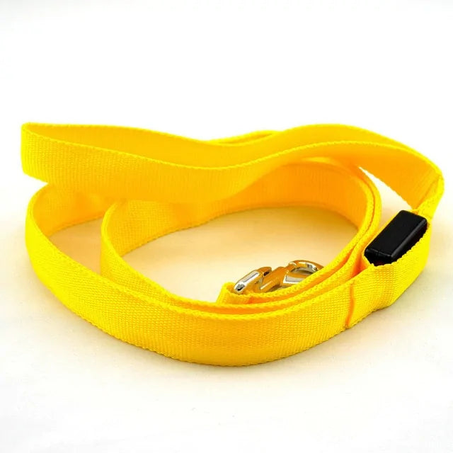 Reflective LED Dog Leash - VMX PETS - VMX PETS