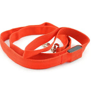 Reflective LED Dog Leash - VMX PETS - VMX PETS