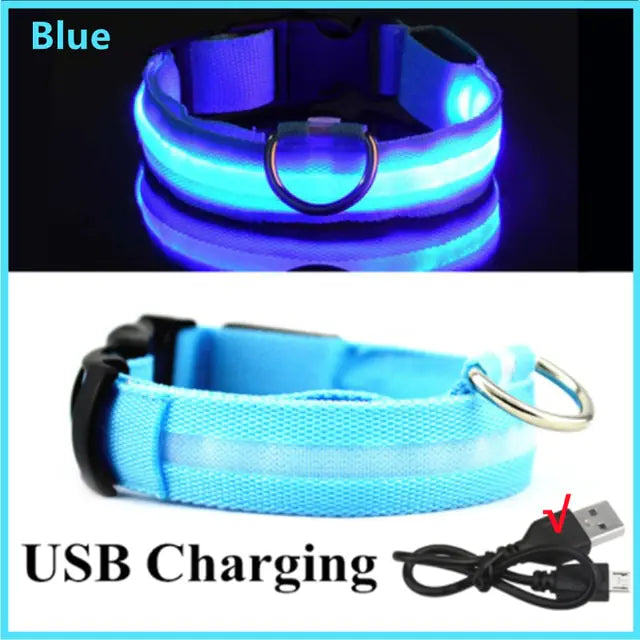 Glowing Dog Collar - VMX PETS - VMX PETS